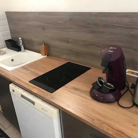 L'orchidee Au Bord De L'eau * Honfleur