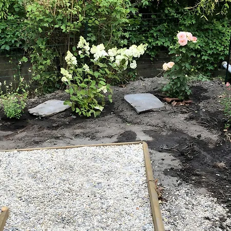 L'orchidee Au Bord De L'eau