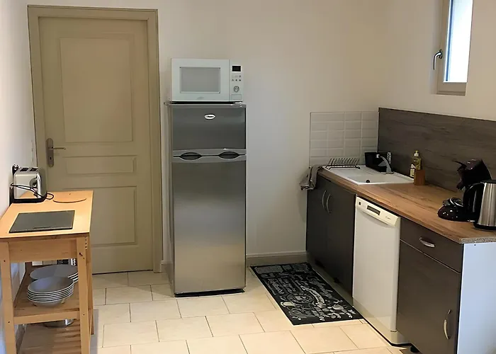 L'orchidee Au Bord De L'eau * Honfleur