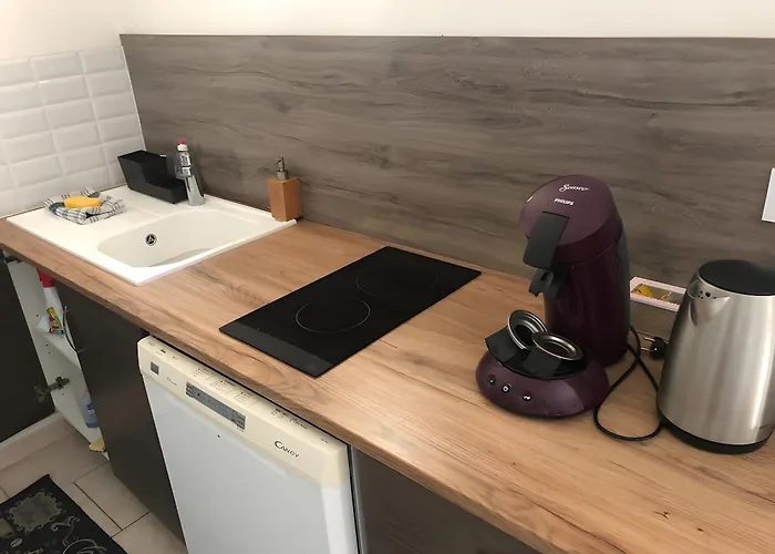 L'orchidee Au Bord De L'eau * Honfleur