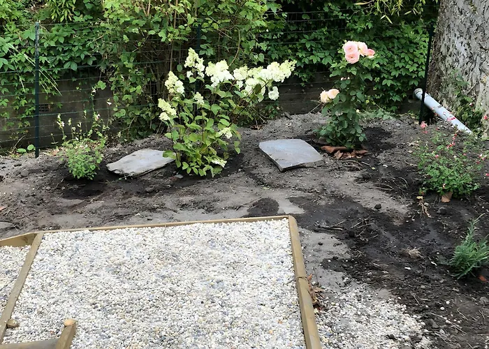 L'orchidee Au Bord De L'eau